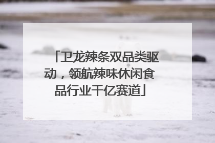 卫龙辣条双品类驱动，领航辣味休闲食品行业千亿赛道