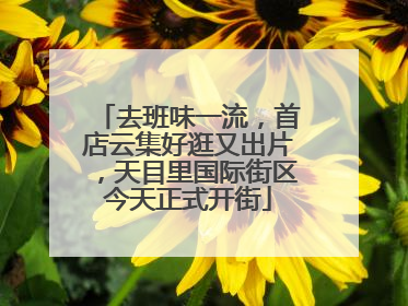 去班味一流，首店云集好逛又出片，天目里国际街区今天正式开街