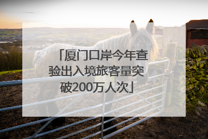 厦门口岸今年查验出入境旅客量突破200万人次