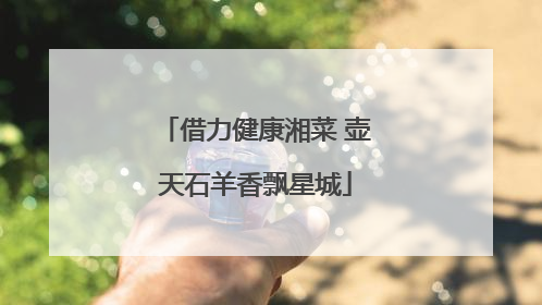 借力健康湘菜 壶天石羊香飘星城