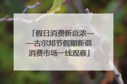 假日消费新意浓——古尔邦节假期新疆消费市场一线观察