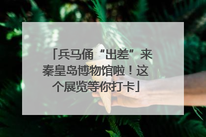 兵马俑“出差”来秦皇岛博物馆啦！这个展览等你打卡