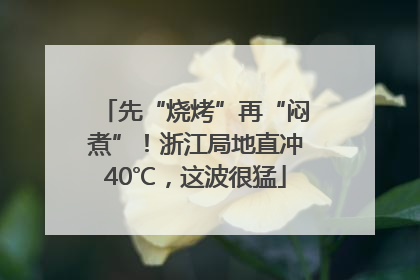 先“烧烤”再“闷煮”！浙江局地直冲40℃，这波很猛