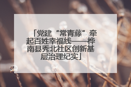 党建“常青藤”牵起百姓幸福线——桦南县秀北社区创新基层治理纪实