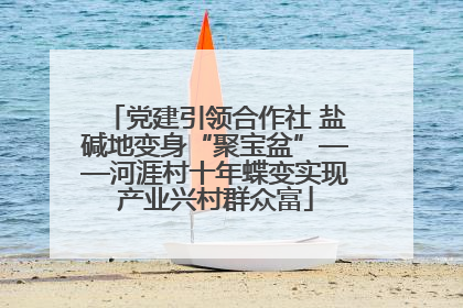 党建引领合作社 盐碱地变身“聚宝盆”——河涯村十年蝶变实现产业兴村群众富