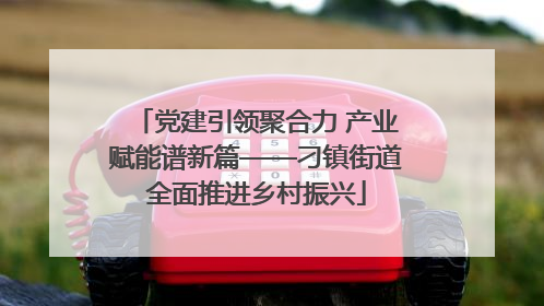 党建引领聚合力 产业赋能谱新篇——刁镇街道全面推进乡村振兴