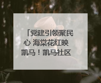 党建引领聚民心 海棠花红映凯马！凯马社区第三届邻里生活节谱写幸福新篇章