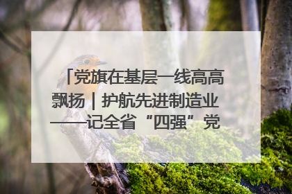 党旗在基层一线高高飘扬｜护航先进制造业——记全省“四强”党支部、省工业和信息化厅装备工业处党支部