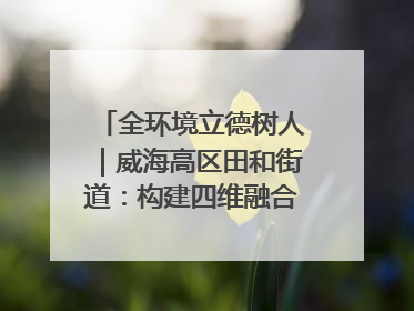全环境立德树人｜威海高区田和街道：构建四维融合体系 绘就全环境立德树人新画卷
