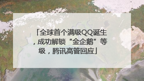 全球首个满级QQ诞生，成功解锁“金企鹅”等级，腾讯高管回应