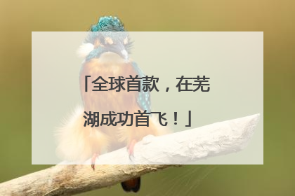 全球首款，在芜湖成功首飞！