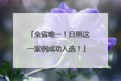 全省唯一！日照这一案例成功入选！