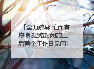 全力疏导 忙而有序 新建路封闭施工后首个工作日见闻