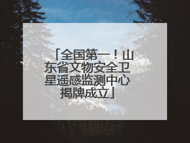 全国第一！山东省文物安全卫星遥感监测中心揭牌成立