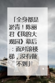 全身都是淤青！陈丽君《我的大观园》幕后：面对滚楼梯，没有做不到