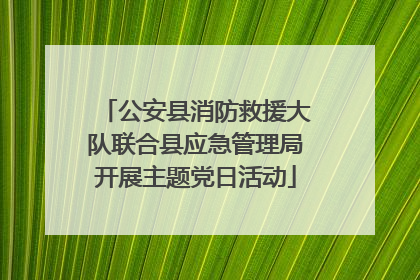 公安县消防救援大队联合县应急管理局开展主题党日活动