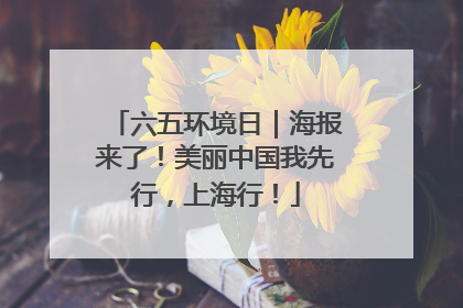 六五环境日｜海报来了！美丽中国我先行，上海行！