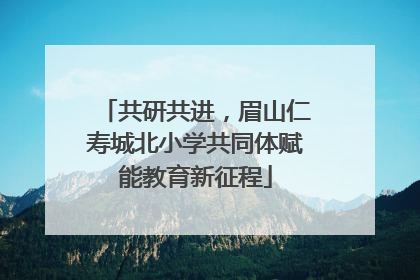 共研共进，眉山仁寿城北小学共同体赋能教育新征程