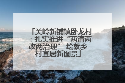 关岭新铺镇卧龙村：扎实推进“两清两改两治理” 绘就乡村宜居新图景