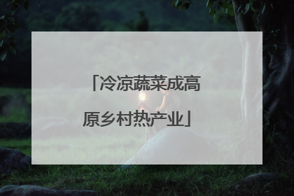 冷凉蔬菜成高原乡村热产业