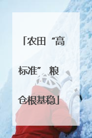 农田“高标准” 粮仓根基稳