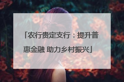 农行贵定支行：提升普惠金融 助力乡村振兴