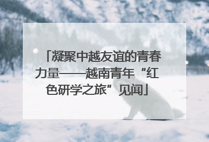 凝聚中越友谊的青春力量——越南青年“红色研学之旅”见闻