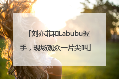 刘亦菲和Labubu握手，现场观众一片尖叫
