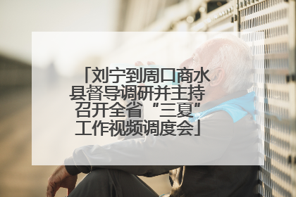 刘宁到周口商水县督导调研并主持召开全省“三夏”工作视频调度会