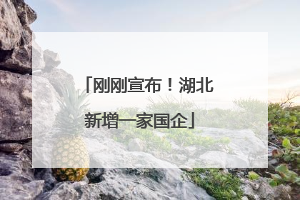 刚刚宣布！湖北新增一家国企