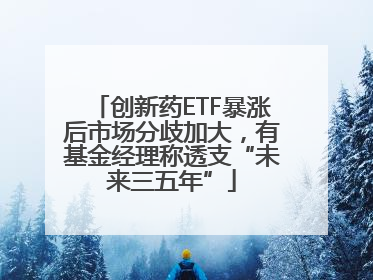 创新药ETF暴涨后市场分歧加大，有基金经理称透支“未来三五年”