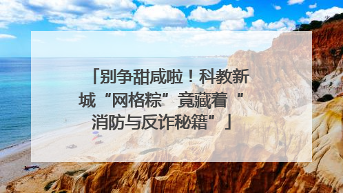 别争甜咸啦！科教新城“网格粽”竟藏着“消防与反诈秘籍”