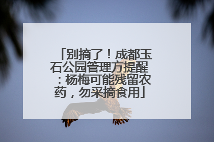 别摘了！成都玉石公园管理方提醒：杨梅可能残留农药，勿采摘食用