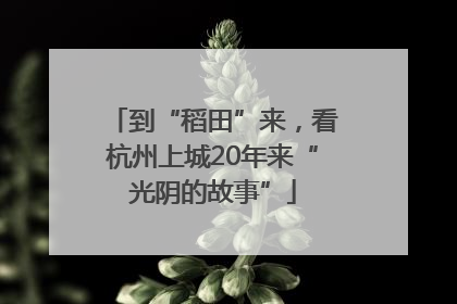 到“稻田”来，看杭州上城20年来“光阴的故事”