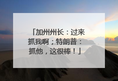 加州州长：过来抓我啊；特朗普：抓他，这很棒！