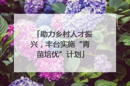 助力乡村人才振兴，丰台实施“青苗培优”计划