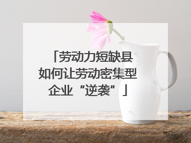 劳动力短缺县 如何让劳动密集型企业“逆袭”