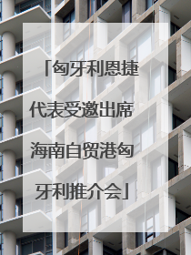 匈牙利恩捷代表受邀出席海南自贸港匈牙利推介会