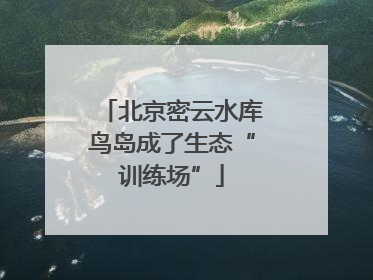 北京密云水库鸟岛成了生态“训练场”