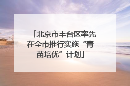 北京市丰台区率先在全市推行实施“青苗培优”计划