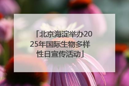 北京海淀举办2025年国际生物多样性日宣传活动