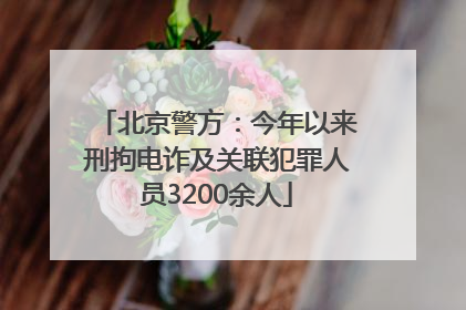 北京警方：今年以来刑拘电诈及关联犯罪人员3200余人