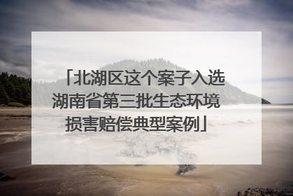 北湖区这个案子入选湖南省第三批生态环境损害赔偿典型案例