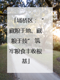 埇桥区：“藏粮于地、藏粮于技” 筑牢粮食丰收根基