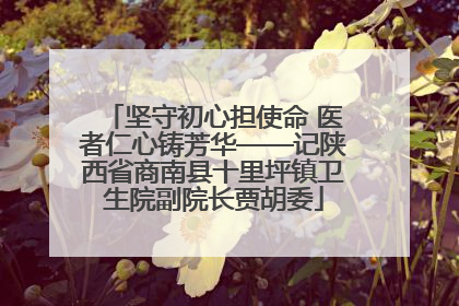 坚守初心担使命 医者仁心铸芳华——记陕西省商南县十里坪镇卫生院副院长贾胡委