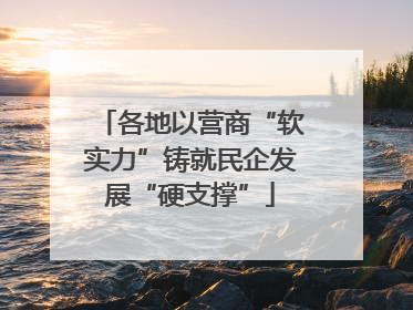 各地以营商“软实力”铸就民企发展“硬支撑”