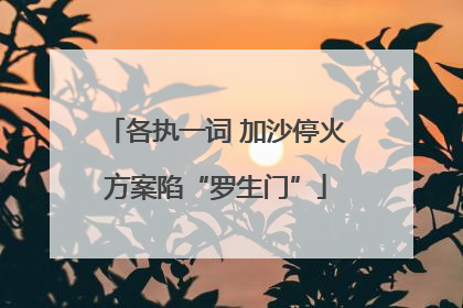 各执一词 加沙停火方案陷“罗生门”