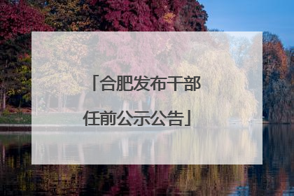 合肥发布干部任前公示公告