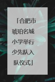 合肥市琥珀名城小学举行少先队入队仪式