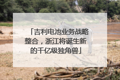 吉利电池业务战略整合，浙江将诞生新的千亿级独角兽